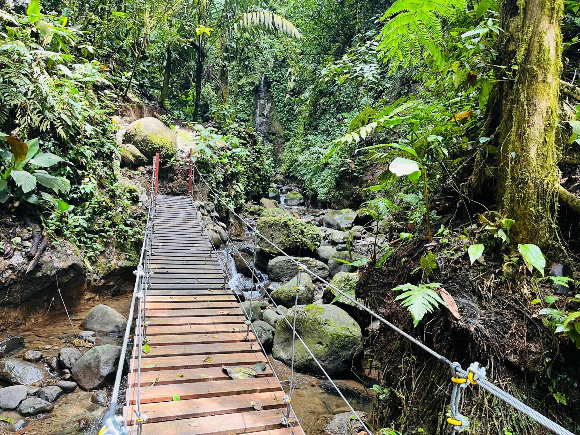 Willa Wellness Park Cr La Fortuna Zewnętrze zdjęcie