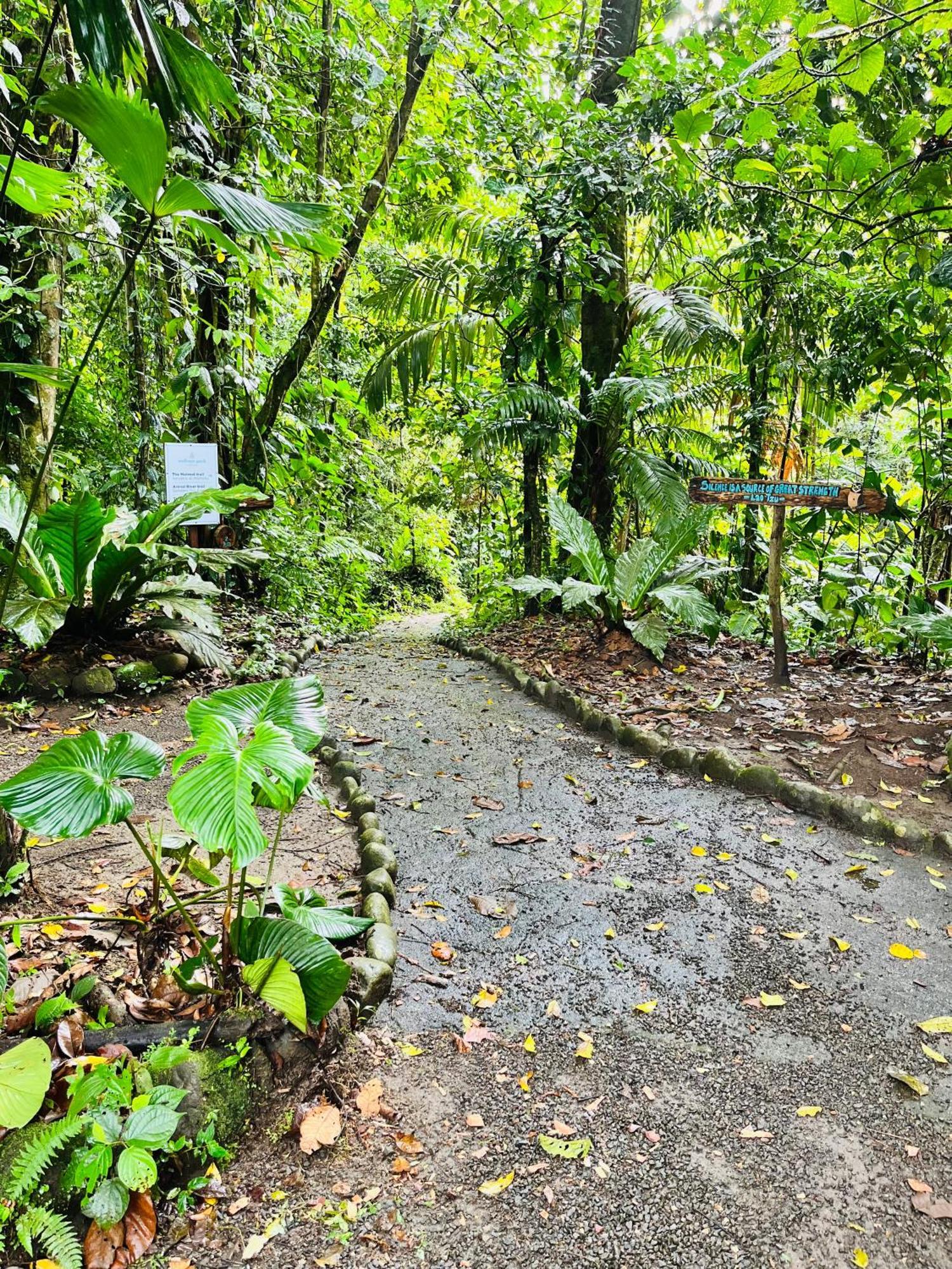 Willa Wellness Park Cr La Fortuna Zewnętrze zdjęcie