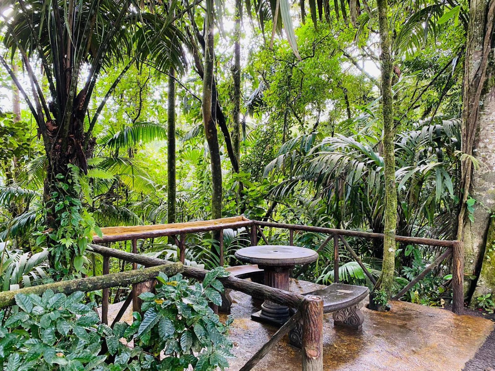 Willa Wellness Park Cr La Fortuna Zewnętrze zdjęcie