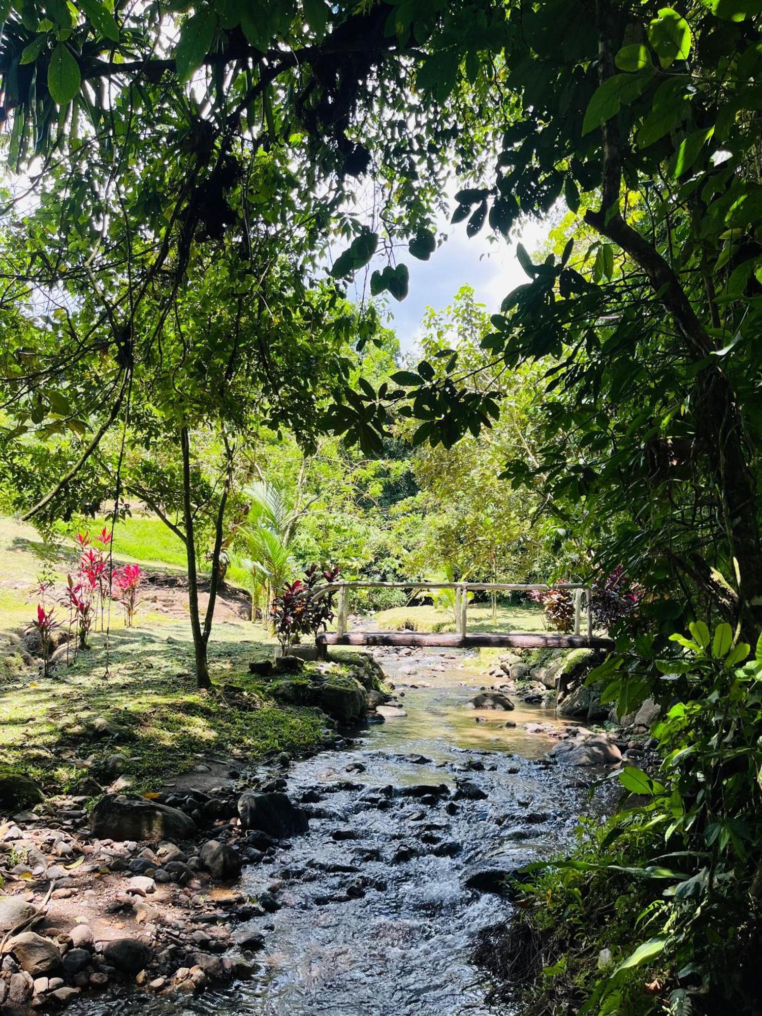 Willa Wellness Park Cr La Fortuna Zewnętrze zdjęcie